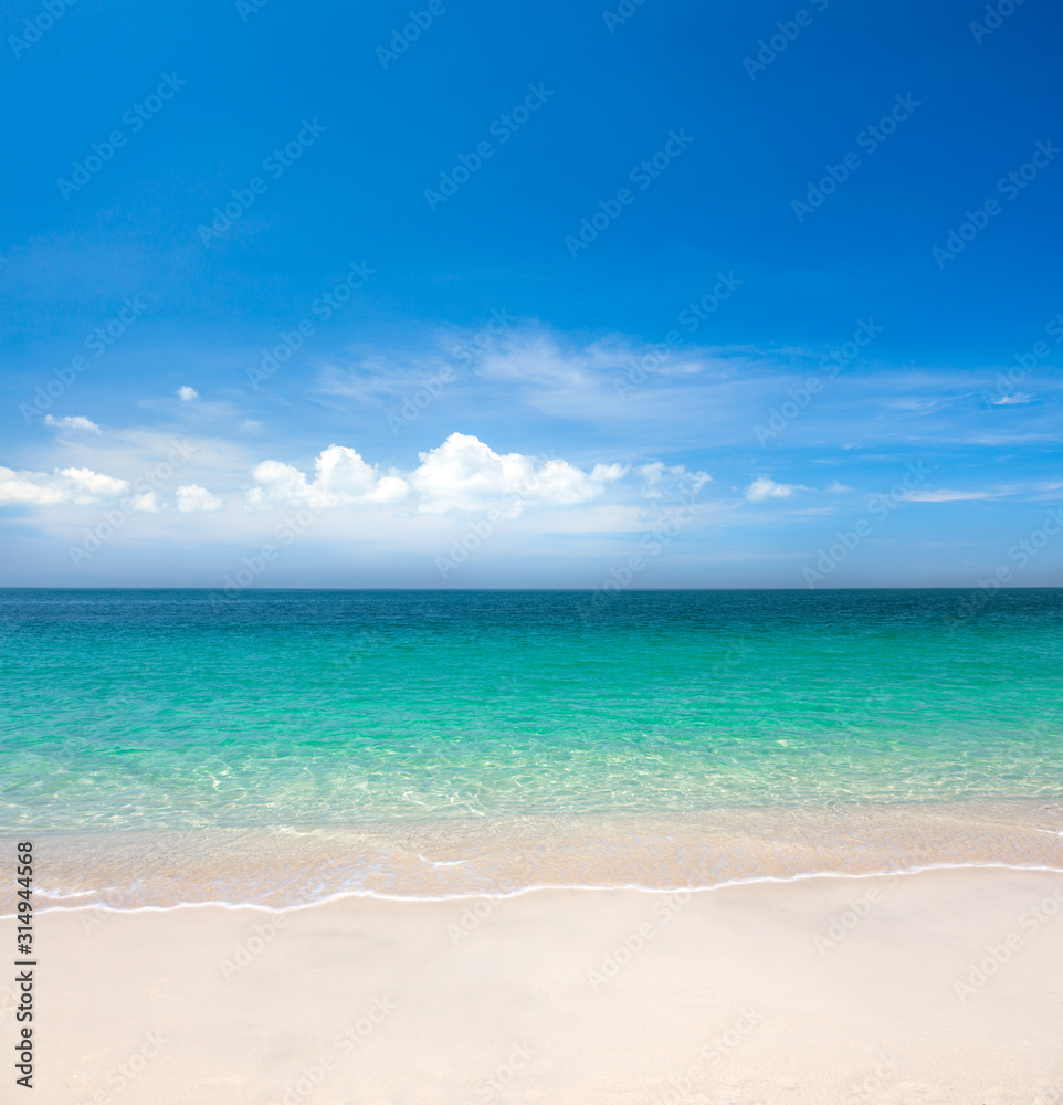 Obraz premium piękna plaża i tropikalne morze