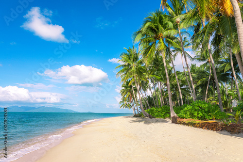 beach and coconut palm trees. Koh Samui, Thailand