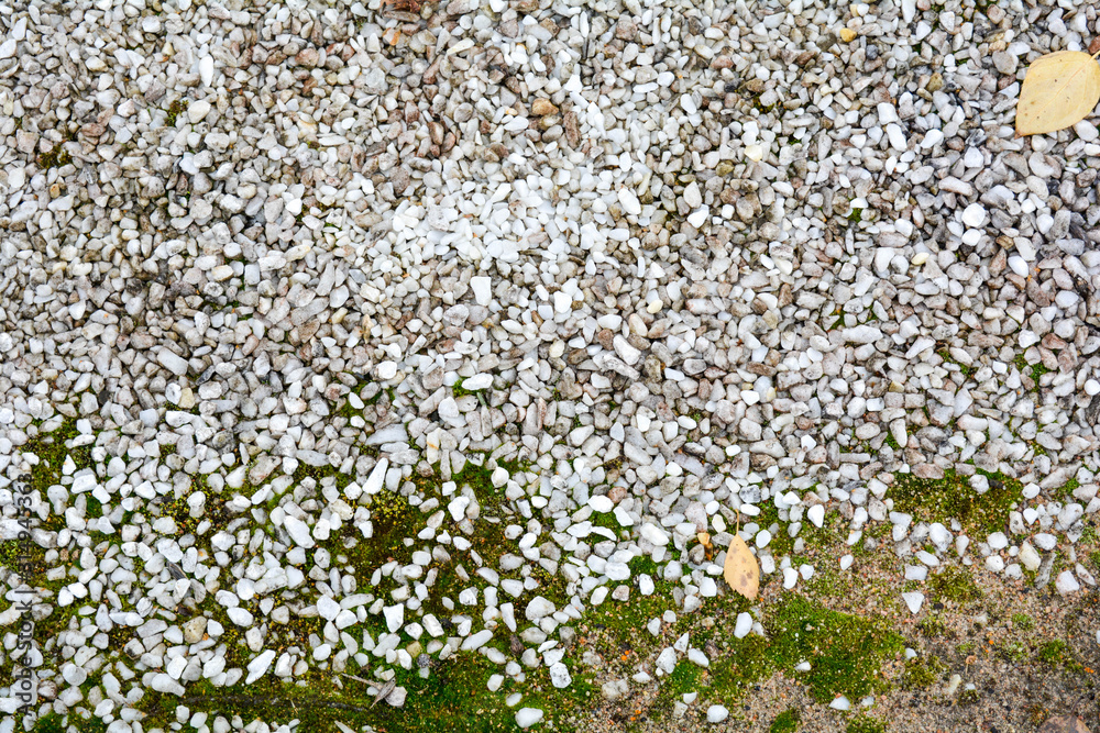 Small white marble stones, growing green moss, some fallen leaves on ground Small white marble stones, growing green moss, some fallen leaves on ground