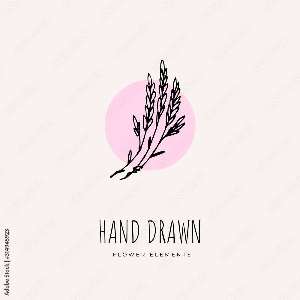 Obraz Hand Drawn Minimalistic and Floral Template for photographer, fashion blogger, design studio, interior design. Branding identity collection . Floral feminine element. flowers clipart