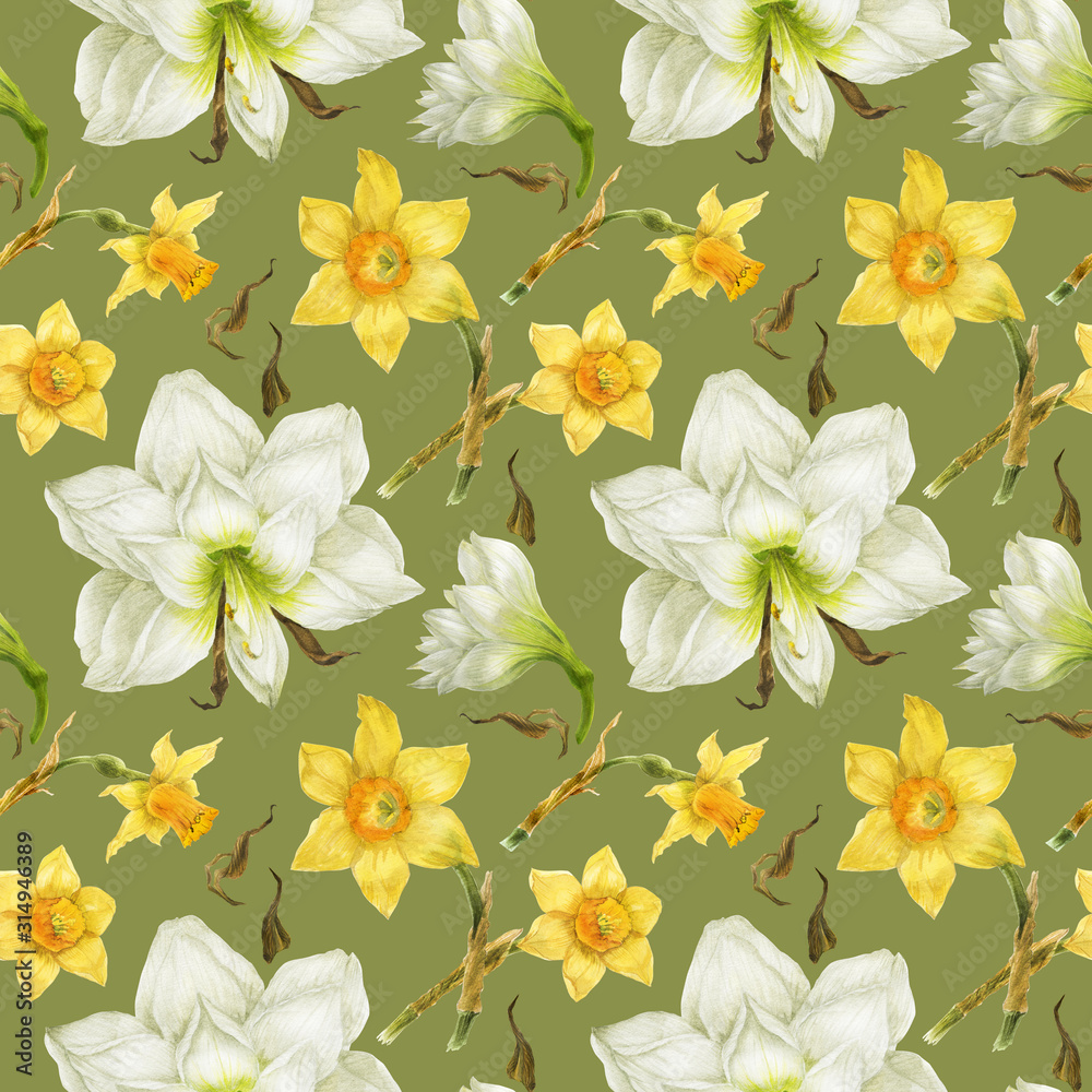 White Hippeastrum and yellow daffodil watercolor seamless pattern on a green background with clipping path White Hippeastrum and yellow daffodil watercolor seamless pattern on a green background with clipping path