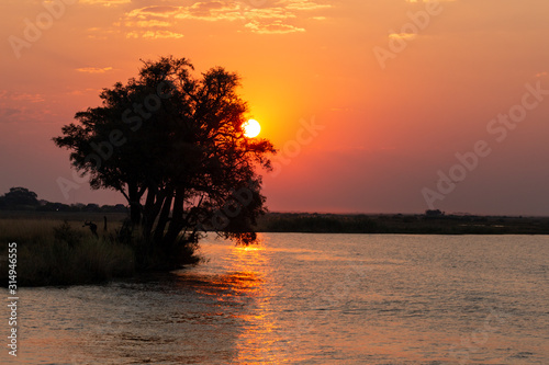 sunset lake tree © Diego