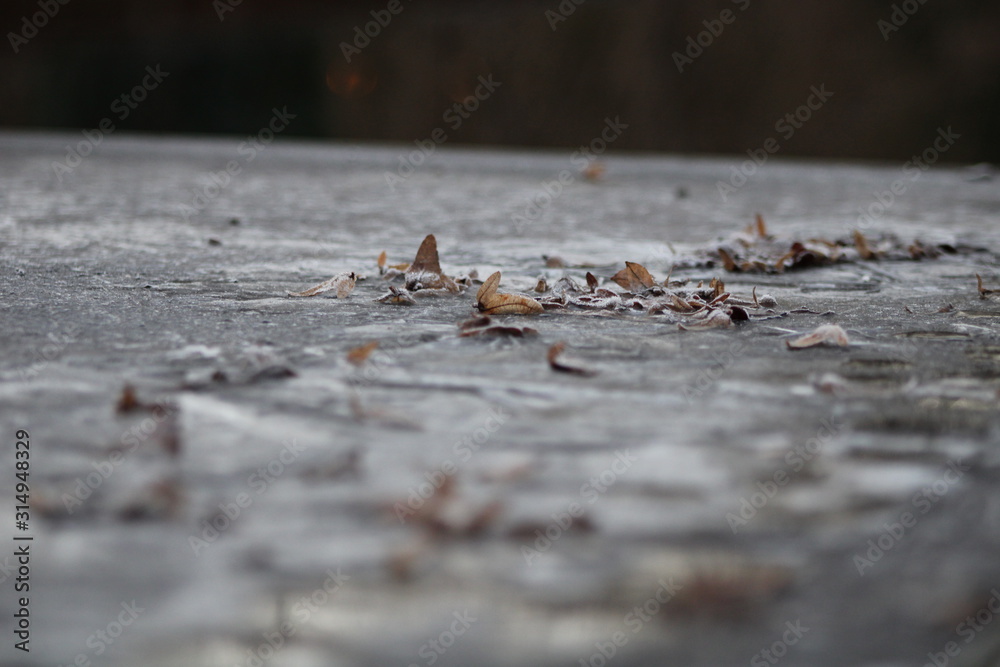 troupeau de feuilles troupeau de feuilles