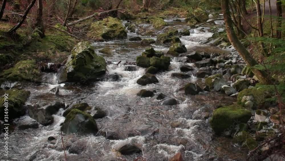 Scenic Slow motion HD video of Tollymore forest mountain stream and surroundings, Tollymore Forest park, Northern Ireland Scenic Slow motion HD video of Tollymore forest mountain stream and surroundings, Tollymore Forest park, Northern Ireland