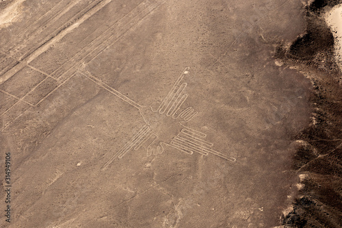 humminbird nazca lines photo