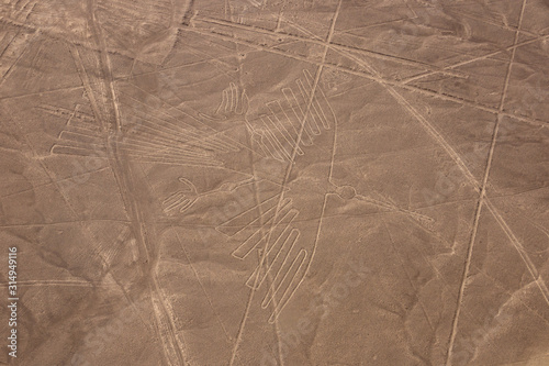 condor nazca lines photo