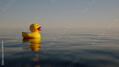 yellow duck in the water