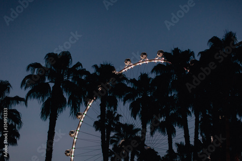 Photography Grande roue entre les palmiers à Las Vegas