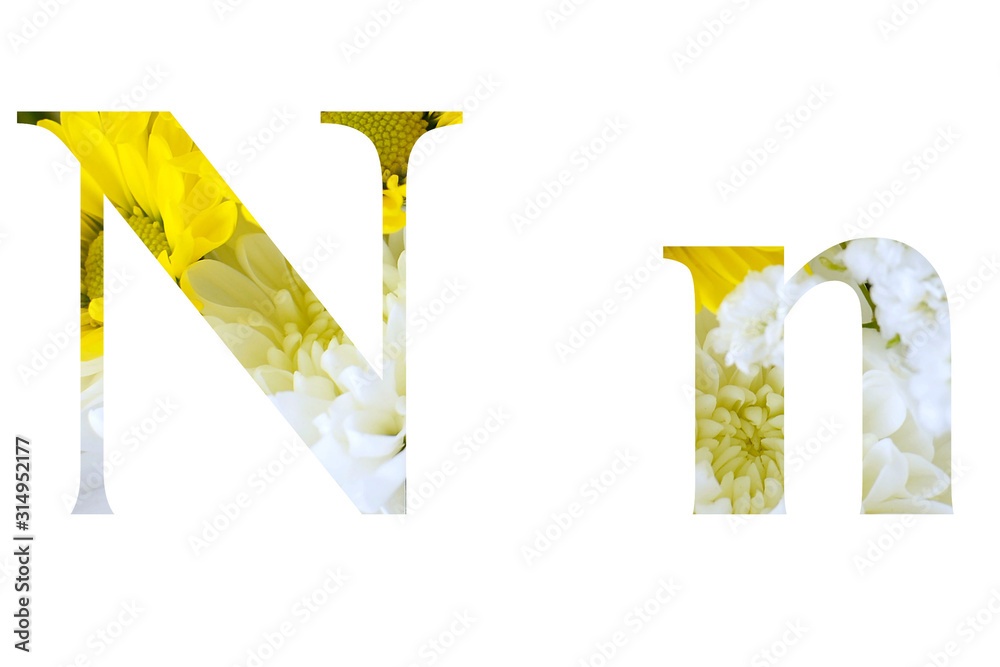 Capital, or upper case, and lower case letter of the English alphabet. Text cutout floral motiff with various yellow and white chrysanthemums and baby's breath Capital, or upper case, and lower case letter of the English alphabet. Text cutout floral motiff with various yellow and white chrysanthemums and baby's breath