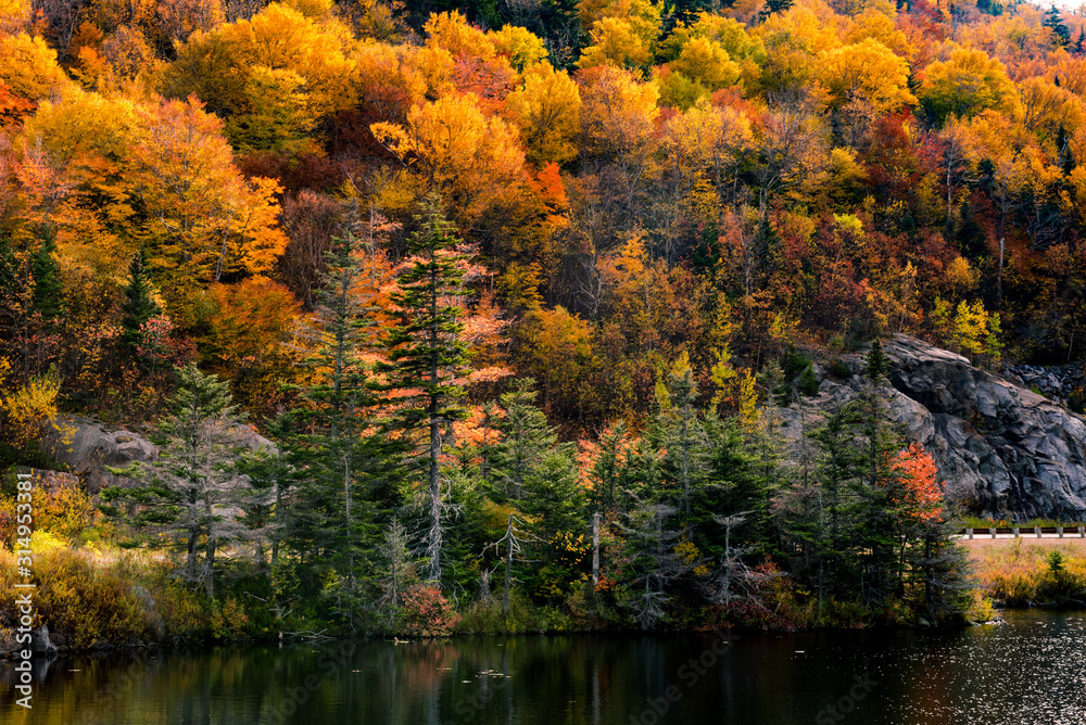 Beaver pond on the Kancamagus highway Beaver pond on the Kancamagus highway