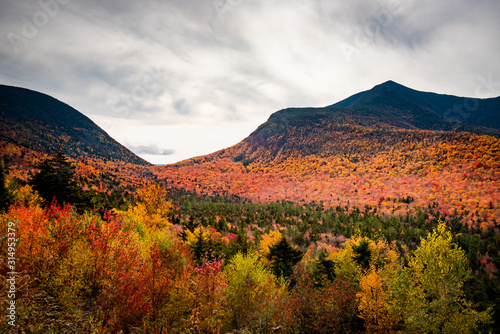 The white mountains fall colors