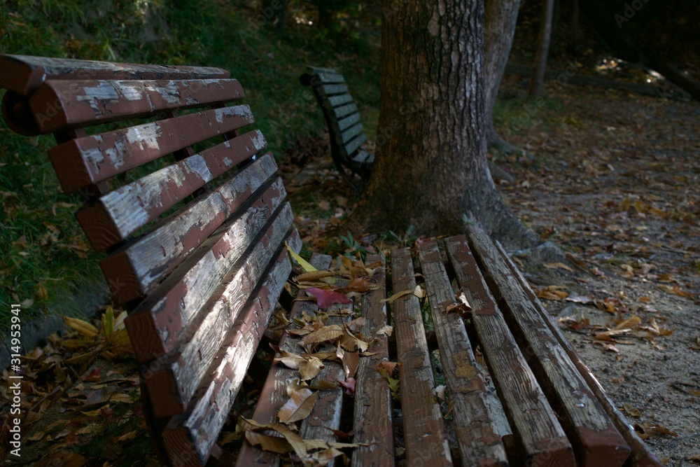 Fototapeta premium bench