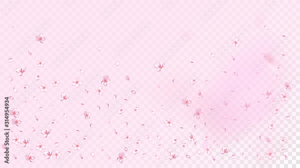 Nice Sakura Blossom Isolated Vector. Realistic Showering 3d Petals Wedding Paper. Japanese Blurred Flowers Wallpaper. Valentine, Mother's Day Watercolor Nice Sakura Blossom Isolated on Rose