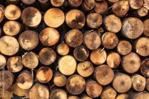 Round split logs piled in rows wood texture.