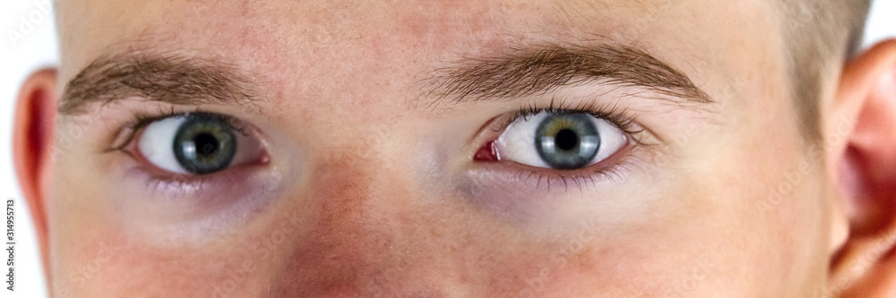 Obraz premium young man eye macro shoot, banner. panoramic photo of face