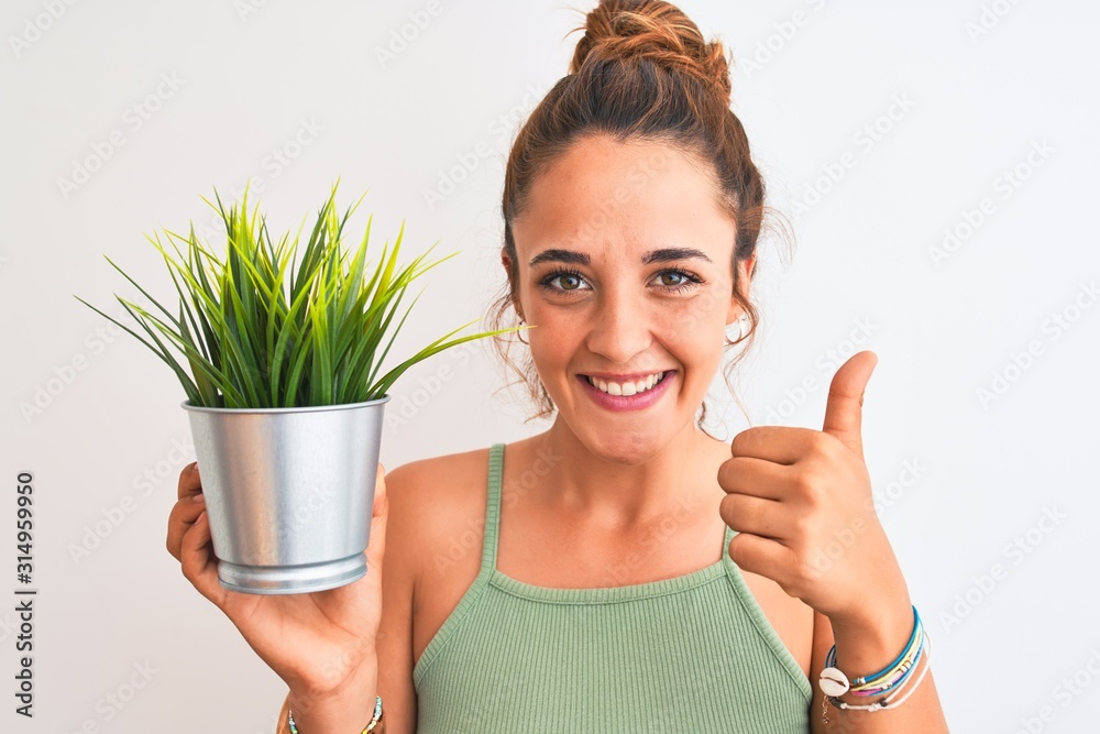 Young redhead woman holding plant pot over isolated background happy with big smile doing ok sign, thumb up with fingers, excellent sign Young redhead woman holding plant pot over isolated background happy with big smile doing ok sign, thumb up with fingers, excellent sign