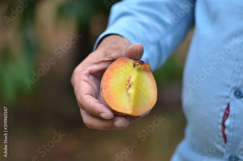 Half of the cut peach. Hand holds.