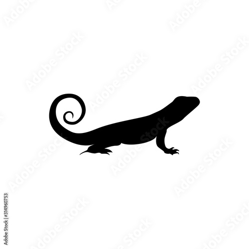 lizard vector 