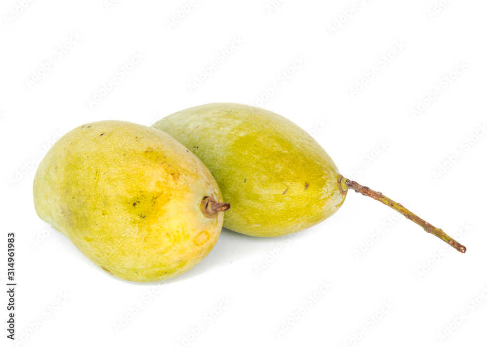 Studio shot two homegrown Asian mango isolated on white Studio shot two homegrown Asian mango isolated on white