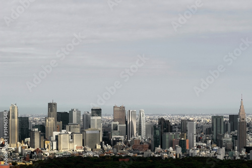 Panoramic view of Shinjuku skyscrapers