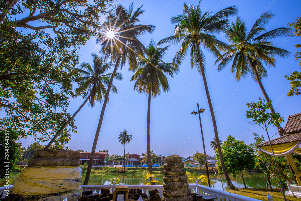 Background of Wat Traphang Thong, which is located in the middle of the water and has a wooden bridge, which is used to organize ceremonies (Loi Krathong, New Year) in Sukhothai province, Thailand. Background of Wat Traphang Thong, which is located in the middle of the water and has a wooden bridge, which is used to organize ceremonies (Loi Krathong, New Year) in Sukhothai province, Thailand.
