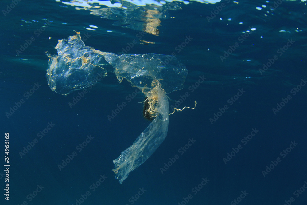 Naklejka premium Zanieczyszczenie plastikowych toreb w oceanie