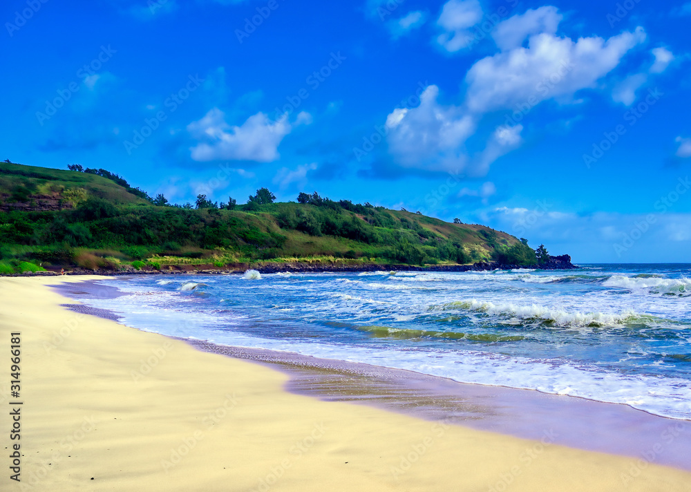 The beach along the coast of Kauai, Hawaii.