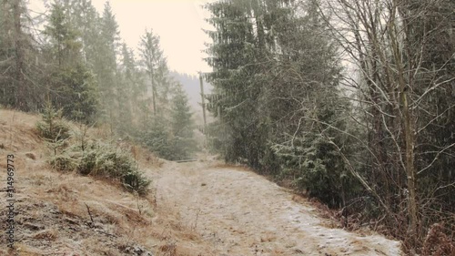 Mountain snow in Romania next to Mestecanis village photo