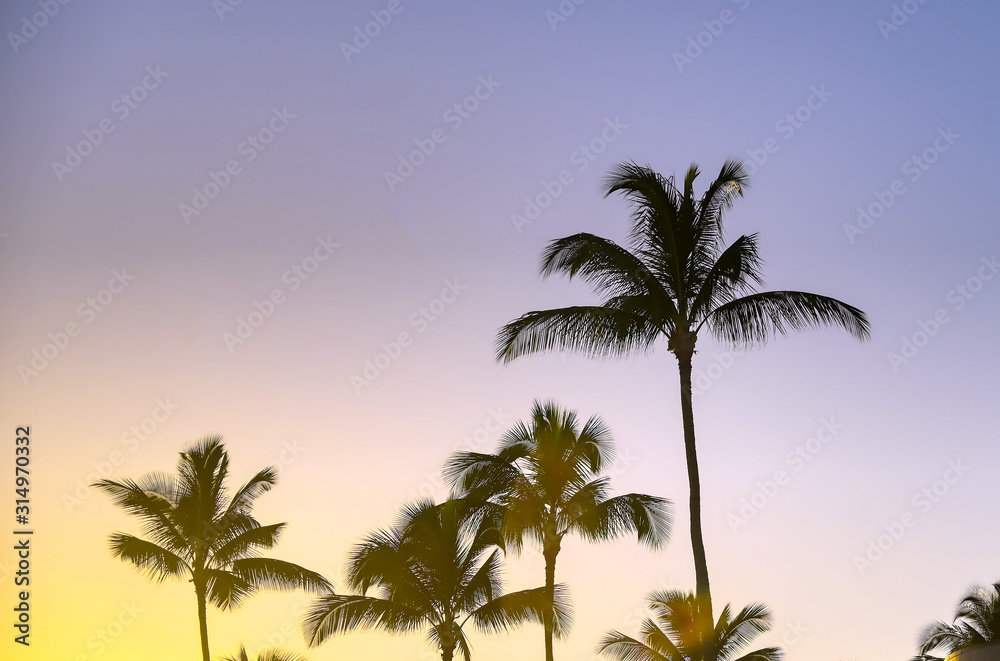 Sunset over the coast of Kauai, Hawaii. Sunset over the coast of Kauai, Hawaii.