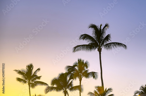 Sunset over the coast of Kauai, Hawaii.