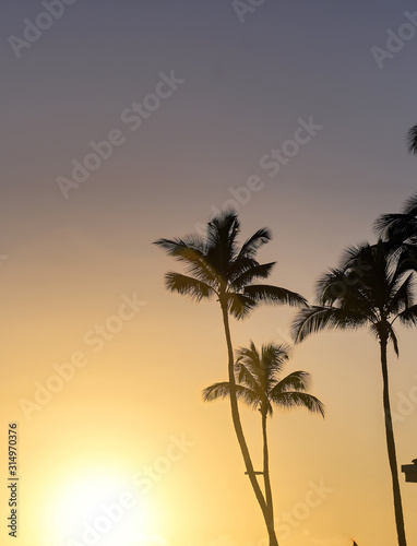 Sunset over the coast of Kauai  Hawaii.