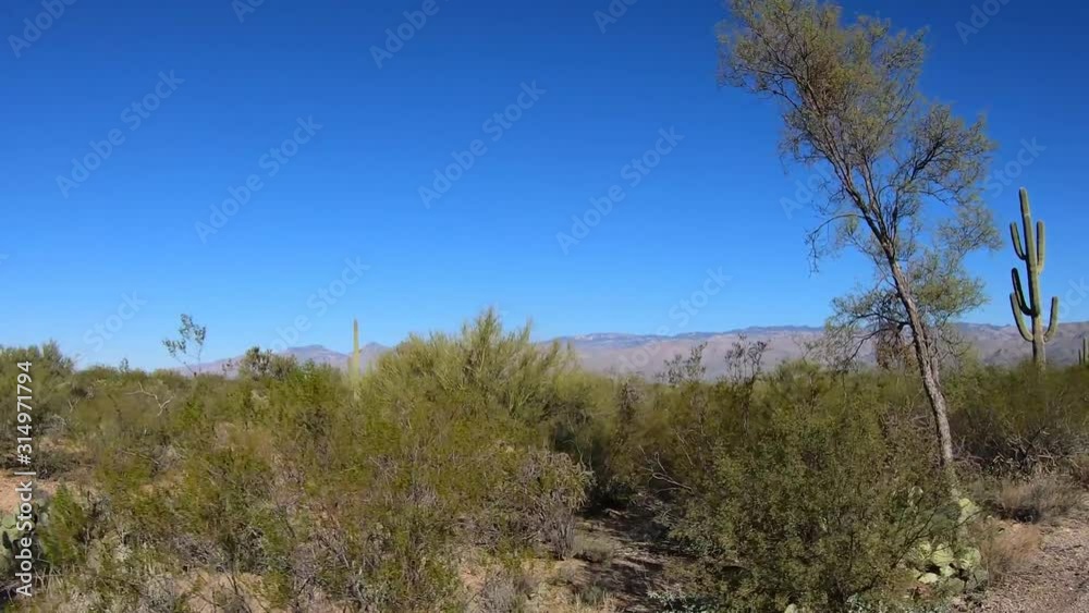 POV driving though Sonora Desert in southern Arizona POV driving though Sonora Desert in southern Arizona
