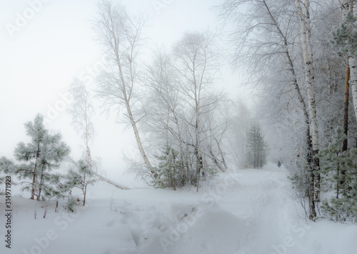 The road in the winter forest in the morning fog. © Сергей Лаврищев