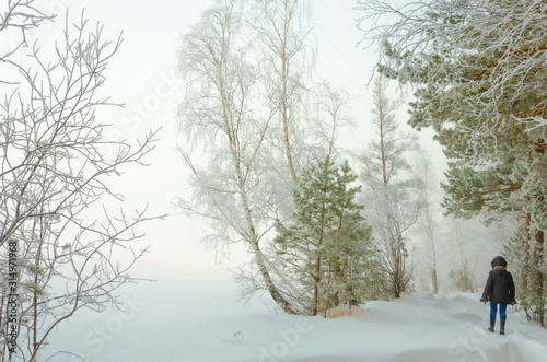 Pine forest in winter.Road in the forest under the snow. © Сергей Лаврищев