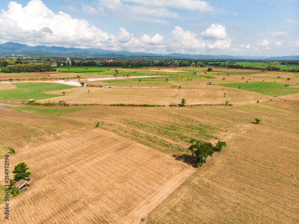 Fototapeta premium Empty crop field