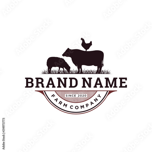vintage livestock logo design, vector concept illustration