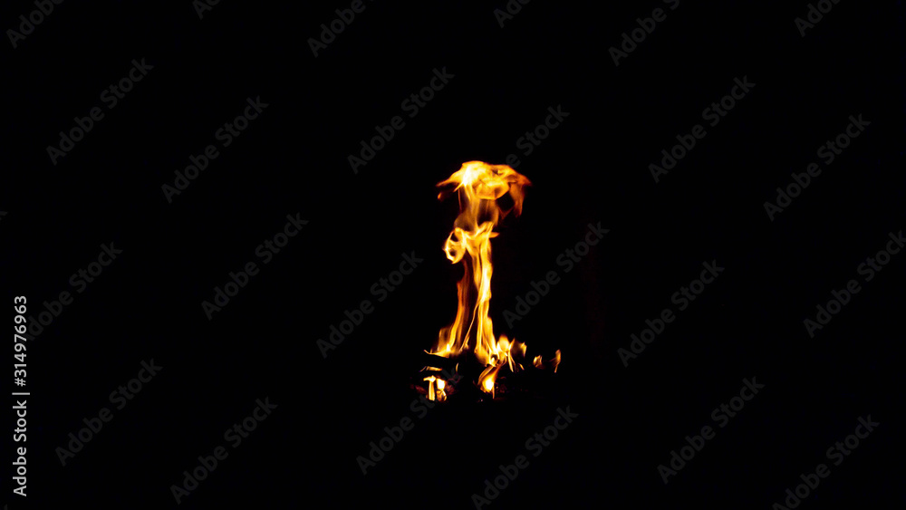Fototapeta premium Burning wood in the fireplace