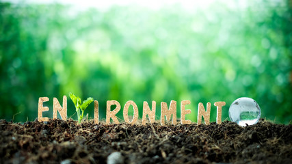 close up Wooden text environment and the globe over blurred green nature background.growing plant for save the earth concept.World environment day concept.