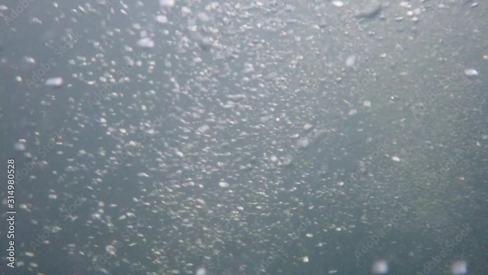 Underwater recording at high resolution of the bubbles circulation. Underwater recording at high resolution of the bubbles circulation.