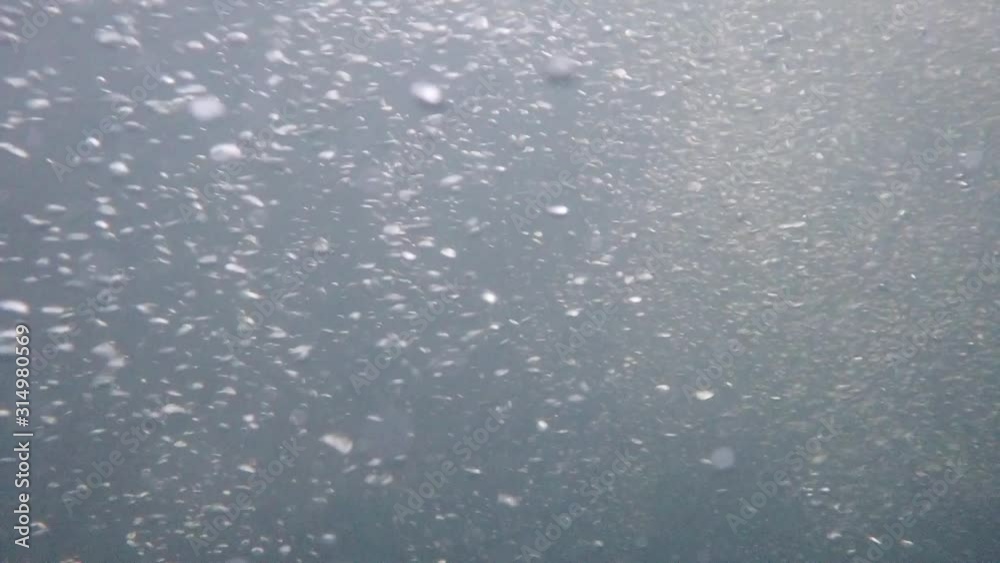 Underwater recording at high resolution of the bubbles circulation. Underwater recording at high resolution of the bubbles circulation.