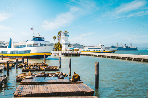 Pier 39 with famous sea lions, San Francisco, USA