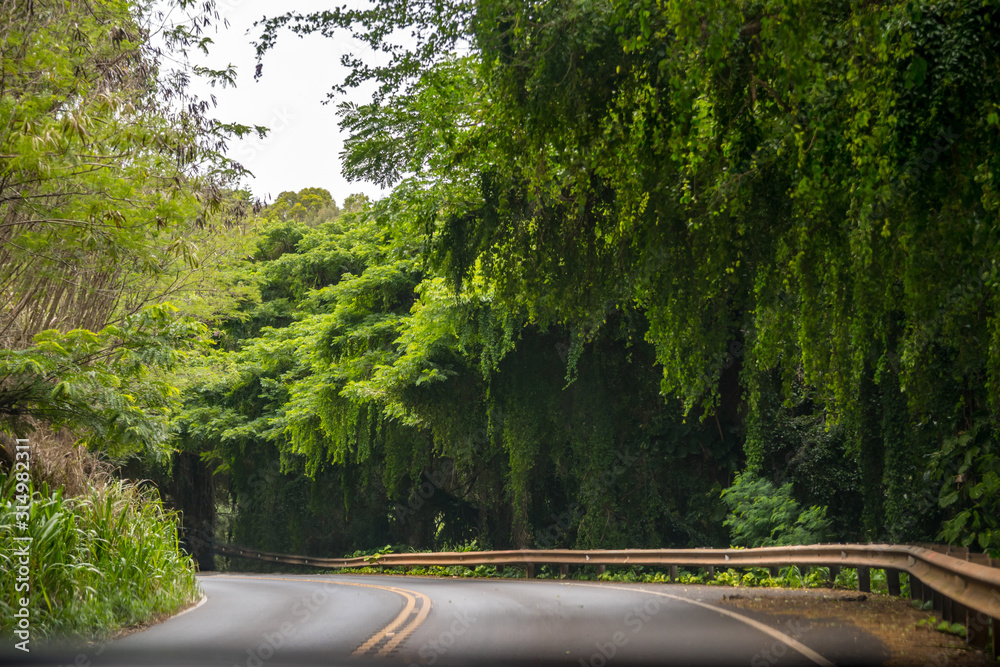 Obraz premium A long way down the road of Maui, Hawaii