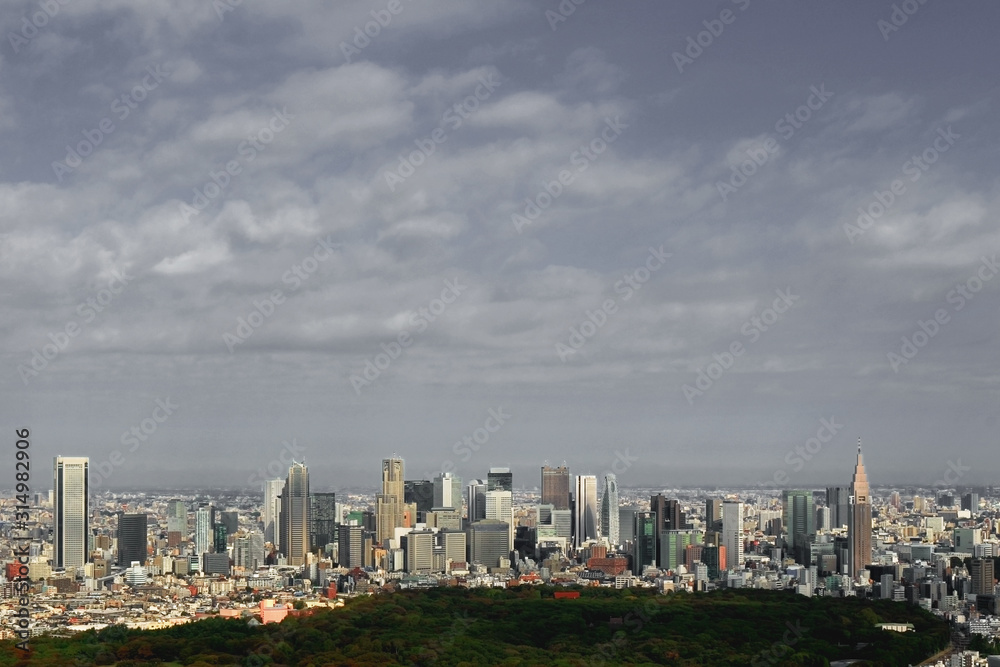 Fototapeta premium Panoramic view of Shinjuku skyscrapers