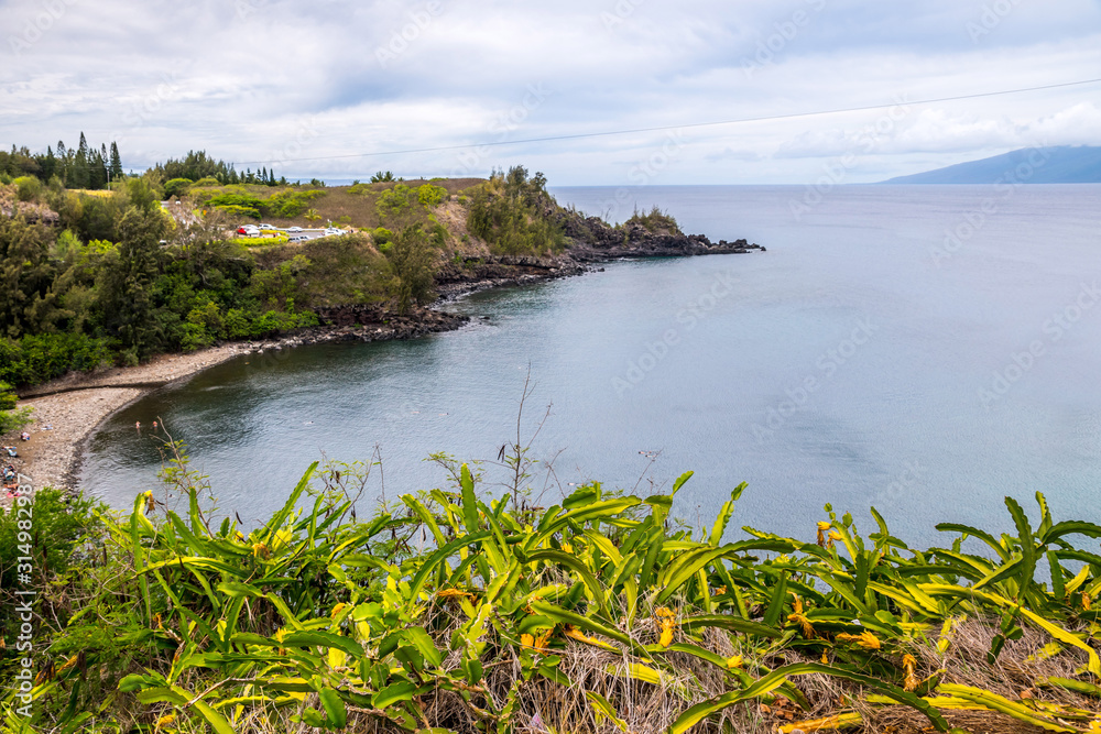Obraz premium A gorgeous view of the natural landscape in Maui, Hawaii