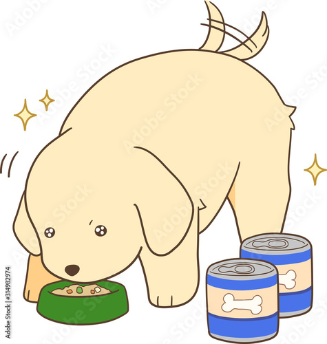 ゴールデンレトリバーの子犬（缶の餌を喜んで食べる）