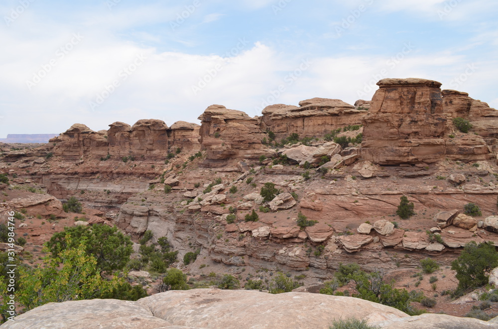 Early Summer in Utah: Looking South Along the Top of Big Spring Canyon from the Overlook in the Needles District of Canyonlands National Park