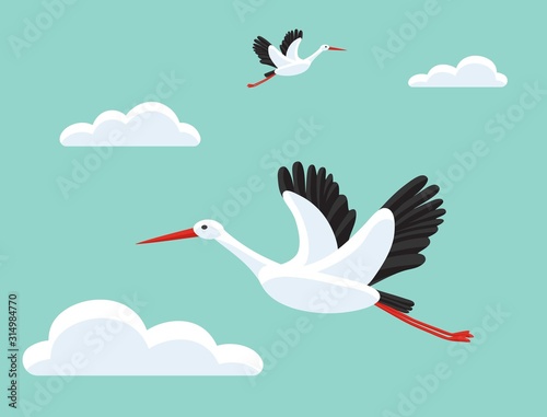 Storks flying in sky. Bird as symbol for baby shower, delivery, news, pregnancy. Beautiful background.