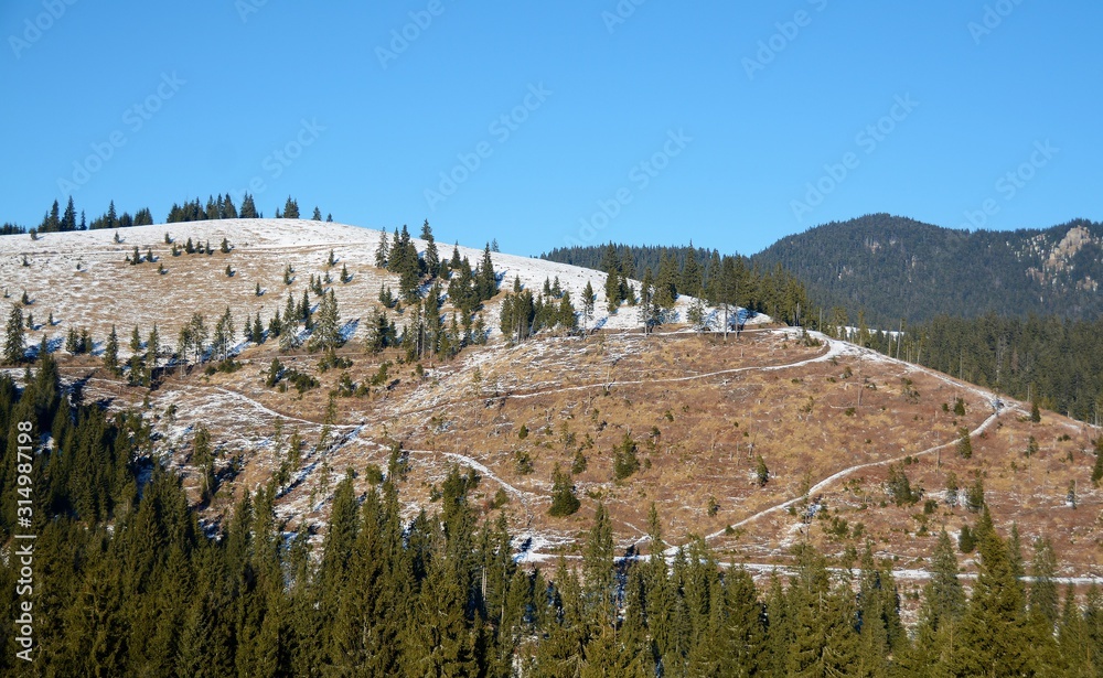 Obraz premium a mountainous area with deforested forest