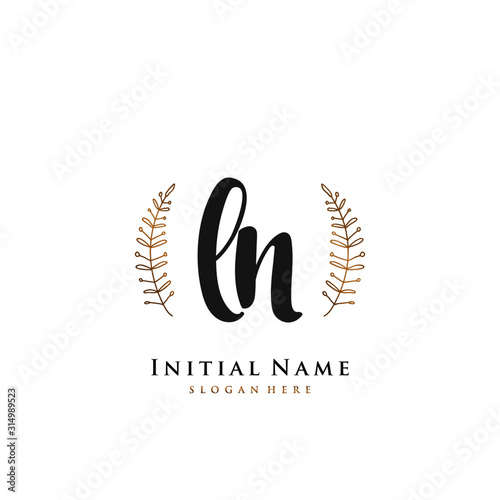 LN Initial handwriting logo vector