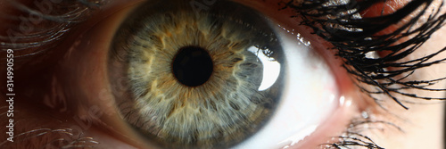 Human green eye supermacro closeup background. Check vision concept